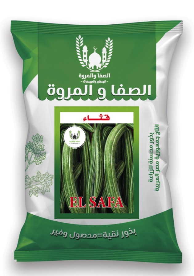 Green Snake Cucumber