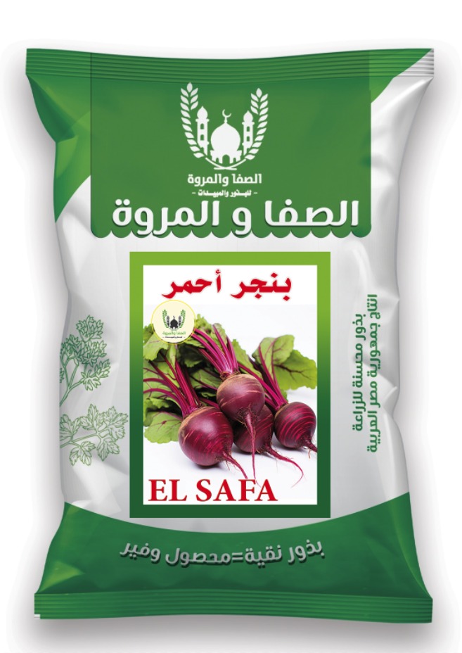 Red beet(table beet)