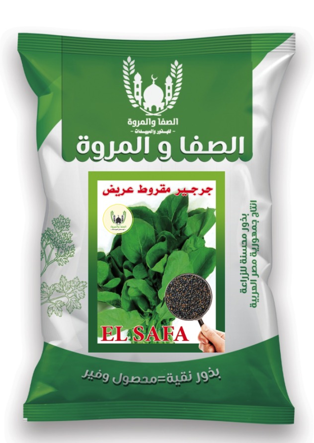 Egyptian Broad-Leaf Rocket Seeds 🌿